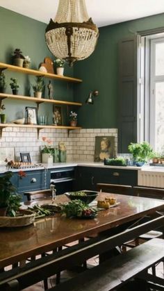 a kitchen with green walls and wooden table surrounded by shelves filled with potted plants