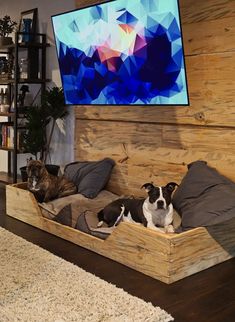 two dogs laying on their beds in front of a flat screen tv