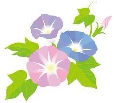 three blue and pink flowers with green leaves