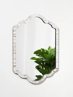 a mirror that is on the wall next to a potted plant in front of it