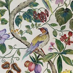 a bird sitting on top of a tree branch surrounded by leaves and flowers with berries