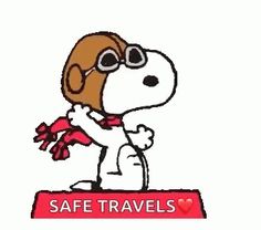 a cartoon dog with sunglasses and scarf on top of a sign that says safe travels