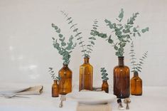 several brown vases with green plants in them on a white table cloth next to plates