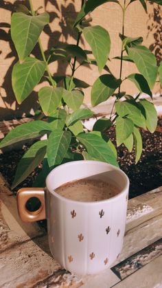 a cup of coffee sitting on top of a wooden table next to a green plant