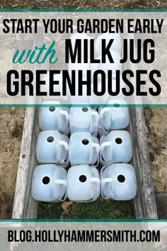 a cart full of milk jugs sitting in the grass with text overlay reading start your garden early with milk jug greenhouses