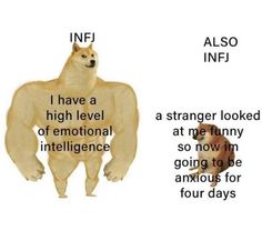 INFJ MEME Entp X Infj Memes, Infj Meme Funny, Infj Meme, Entp X Infj, Infj Things, Infj Problems, Infj Psychology