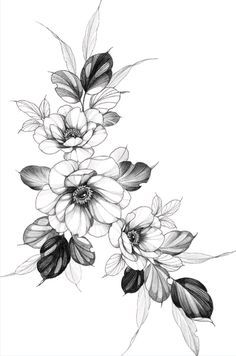 Flower Vine Tattoo, Anemone Tattoo, Flower Vine Tattoos, Chest Tattoo Drawings, Wreath Tattoo, Vine Tattoo, Flower Tattoo Drawings, Vine Tattoos, Floral Tattoo Sleeve