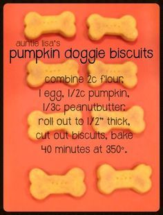 four dog biscuits with the words pumpkin doggie biscuits written in white on an orange background