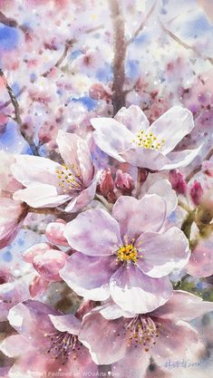 watercolor painting of pink and white flowers