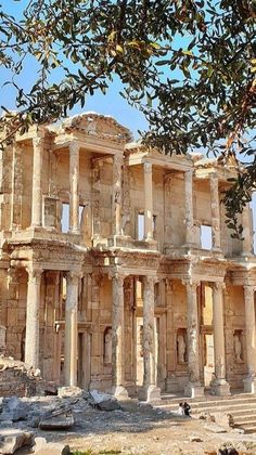 an old building with columns and steps under a tree