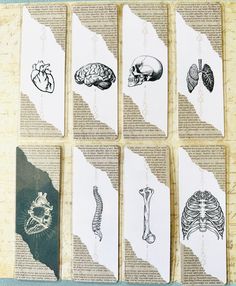 six cards with pictures of human body and bones on them, sitting on top of an old book