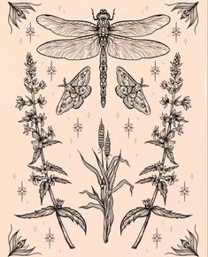 a drawing of dragonflys and flowers with stars in the background