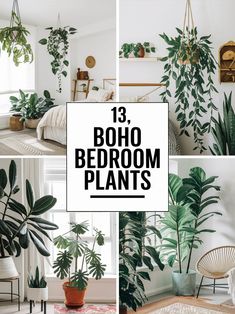 various houseplants and plants with the text 13 boho bedroom plants on them