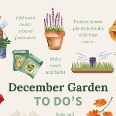 a poster with some flowers and plants in it that says, december garden to do's