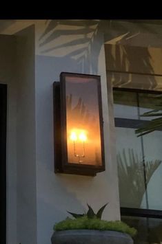 a light that is on the side of a building next to a potted plant