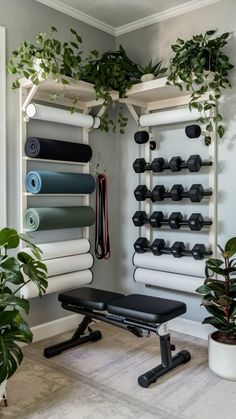 a home gym with plants and yoga mats on the wall next to an exercise bench