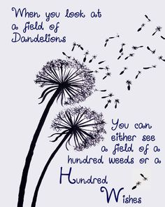 a dandelion blowing in the wind with a quote below it that reads, when you look at a field of dandelions