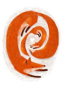 an orange and white drawing of two foxes in a spiral design on a white background