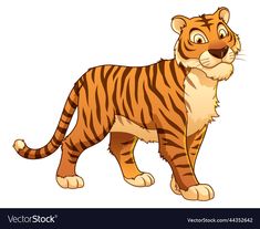 a tiger on a white background