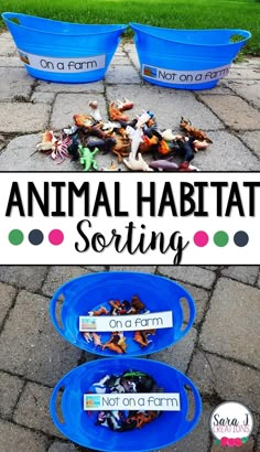 an animal habitat sorting bin with two blue bowls filled with plastic animals and the words animal habitats