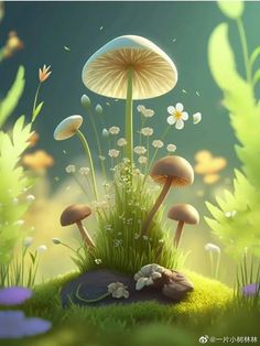 an image of mushrooms in the grass with flowers and butterflies flying around on a sunny day