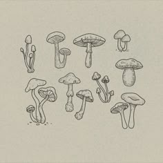 Cute small simple black botanical line drawings of mushroom illustrations for tattoo flash sheet, with stippling and etching style, done on Procreate Mushroom Simple Tattoo, Liberty Cap Mushroom Tattoo, Tall Mushroom Drawing, Mushroom Flash Art, Simple Shroom Tattoo, Mushroom Hip Tattoo, Mushroom Small Tattoo, Swaggy Drawings, Mushroom Tattoo Flash