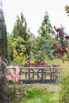 a picnic table surrounded by flowers and trees