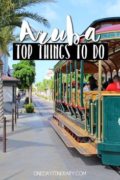 the top things to do in florida