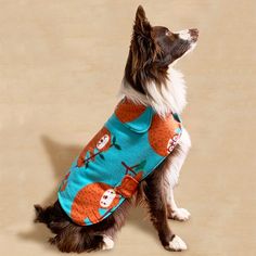 a small dog wearing a blue shirt with red and orange slotty characters on it