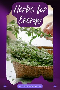 a basket full of herbs with the words herbs for energy above it and an image of hands holding leaves