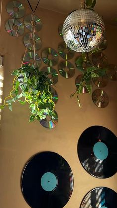 disco balls are hanging on the wall next to records and a potted plant in front of them