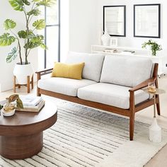 a living room filled with furniture and plants