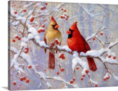 two cardinal birds perched on a branch with berries in the foreground and snow covered branches behind them