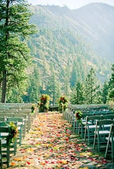 rows of chairs with flowers and greenery on the ground at a wedding ceremony in the mountains