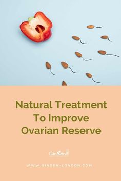 Women diagnosed with diminished ovarian reserve are often recommended assisted reproductive technologies like IVF (in vitro fertilization). Fortunately for women seeking natural and integrative reproductive care, there has been growing evidence to support the use of natural medicines to improve ovarian reserves and improve pregnancy rates. #ovarianreseve #ginsenlondon #chinesemedicine #low Low Ovarian Reserve, Diminished Ovarian Reserve, Fertility Massage Self, Fertility Massage, Improve Egg Quality, Ivf Success Rates, Natural Medicines, Follicle Stimulating Hormone