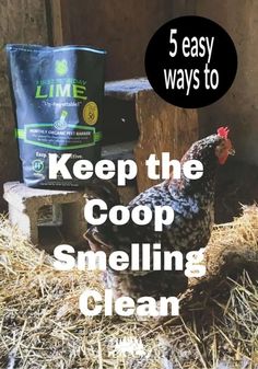 a chicken sitting on top of hay next to a bag of cooping cleanser