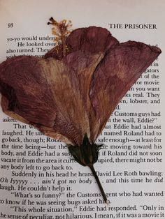 a dried flower sitting on top of an open book with the words, the prisoner