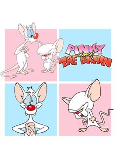 the pinky and the brain cartoon characters