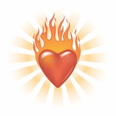 a flaming heart with flames on a white background royalty illustration