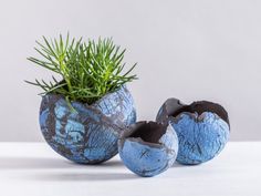 three blue vases with plants in them sitting on a white table top next to each other