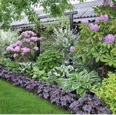 a garden filled with lots of different types of flowers