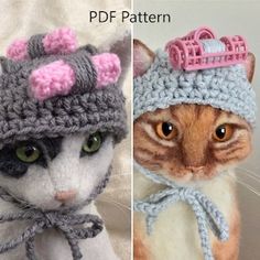 two pictures of cats wearing knitted hats and scarves, one in grey and the other in pink