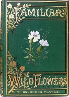 a green book with white flowers on it's front cover and gold lettering that reads familiar wildflowers