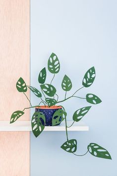 a potted plant sitting on top of a shelf