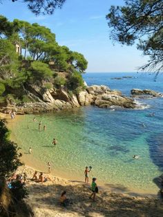 many people are on the beach and in the water near some trees, sand and rocks