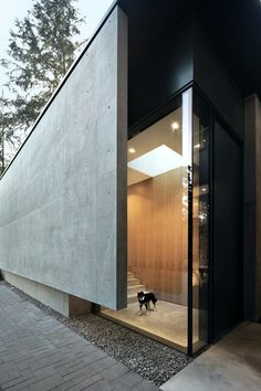 a dog is standing in the doorway of a modern house that has been designed to look like a concrete structure