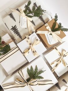 christmas presents wrapped in white paper and tied with brown ribbon, pine cones and evergreen branches