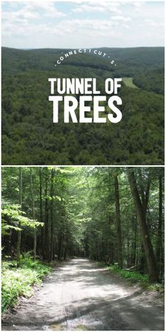 the tunnel of trees is shown in two different pictures, one with an image of a forest