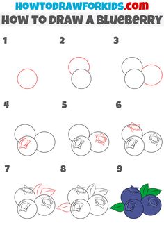 how to draw a blueberry for kids with easy step by step instructions and pictures