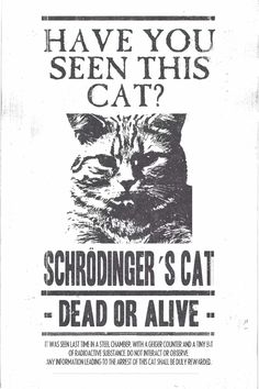 an advertisement for the schrodinger's cat dead or alive program, with a black and white image of a cat